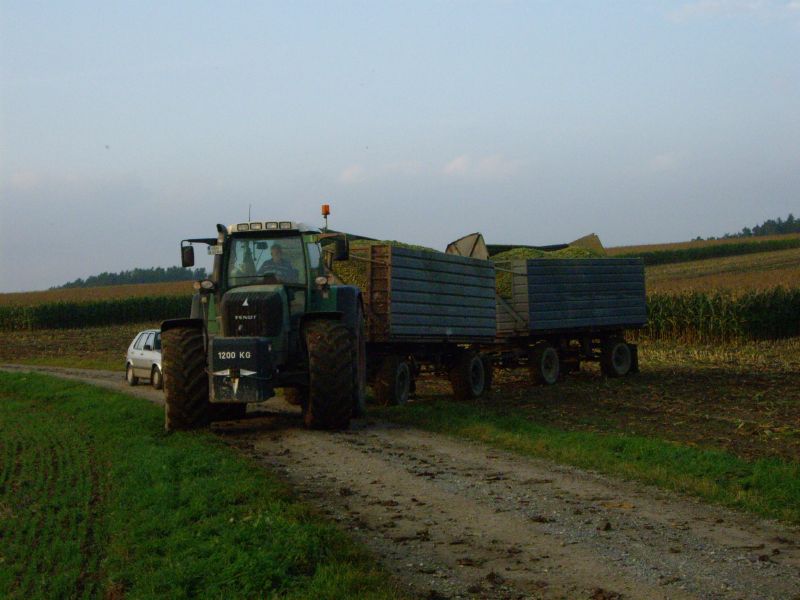IMGP3254.jpg