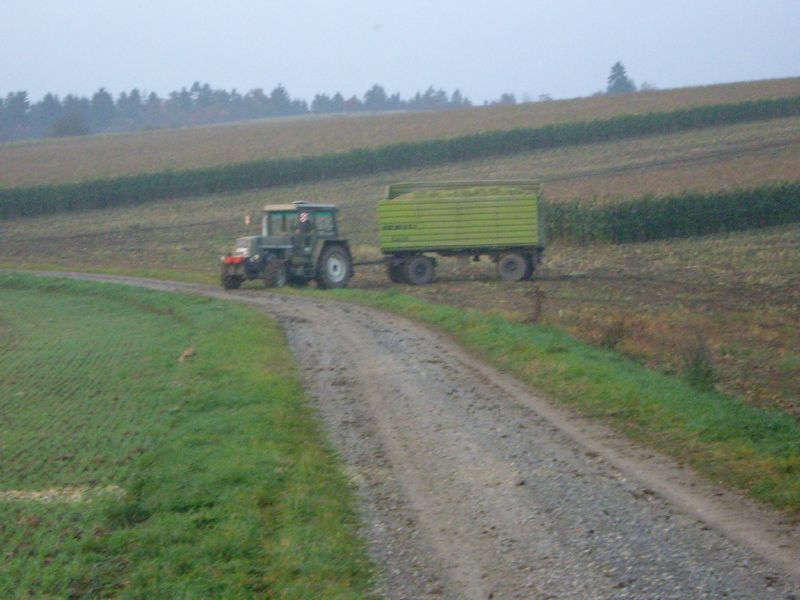 IMGP3295.jpg