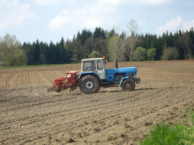 bilder/5_5_2013_2/CIMG7248.jpg