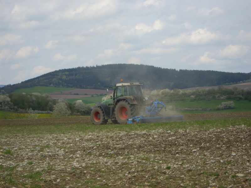 IMGP8047.jpg