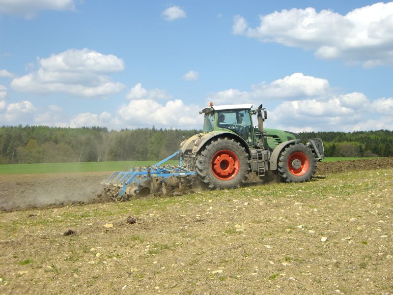 bilder/28_8_2002/xerion_12.jpg