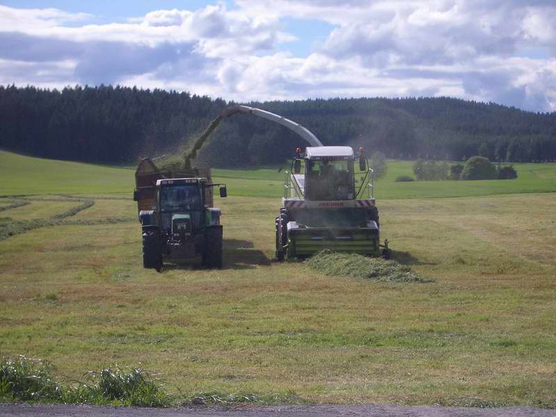 bilder/4_6_2005/jaguar_fendt_514.jpg