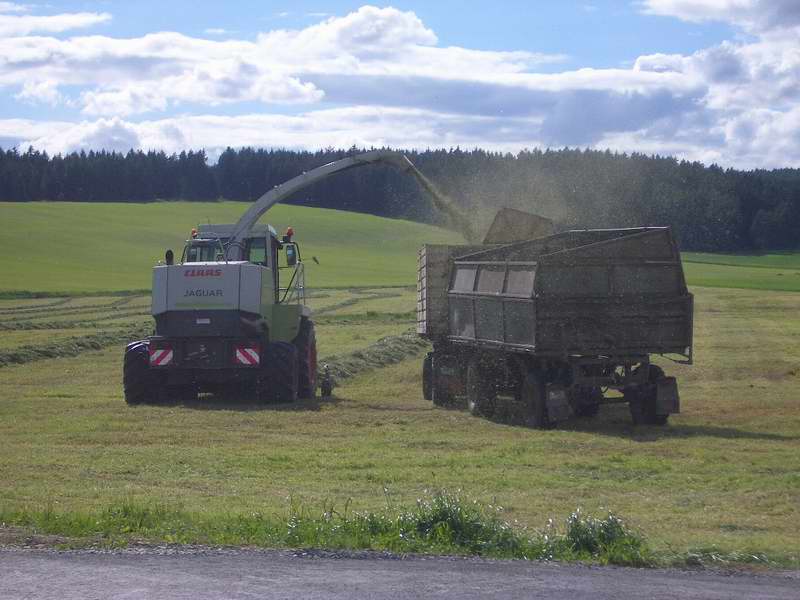 bilder/4_6_2005/jaguar_fendt_514_3.jpg
