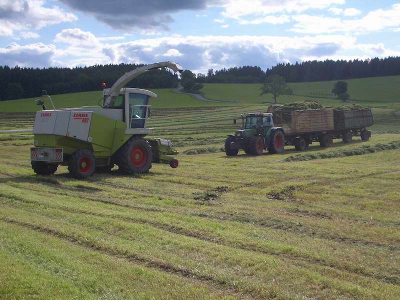 bilder/4_6_2005/jaguar_fendt_514_4.jpg