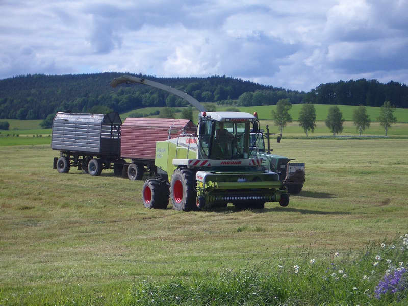 bilder/4_6_2005/jaguar_fendt_824_3.jpg