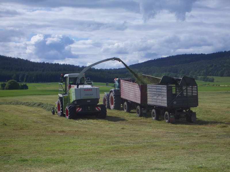 jaguar_fendt_824_4.jpg
