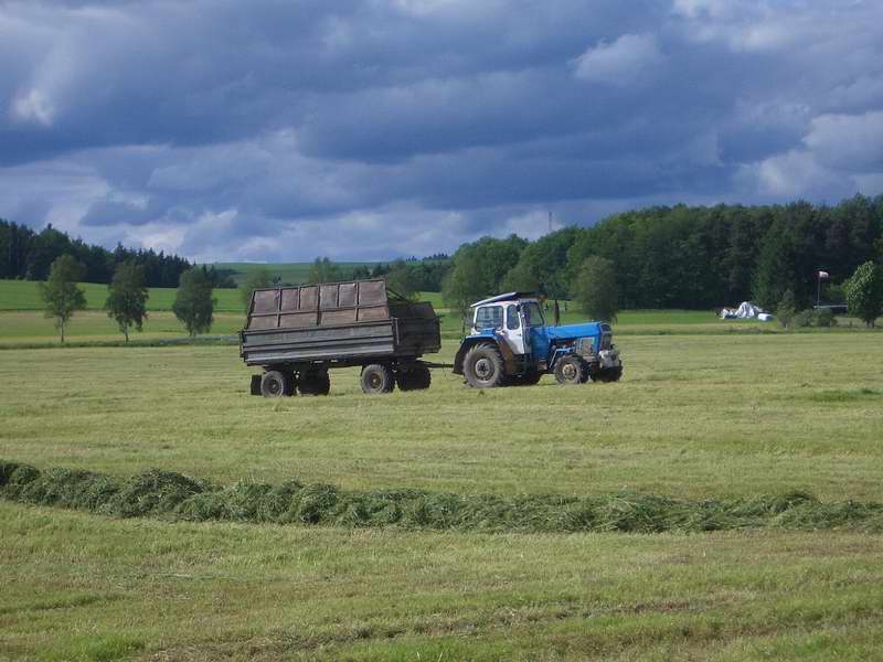 bilder/4_6_2005/zt_303.jpg