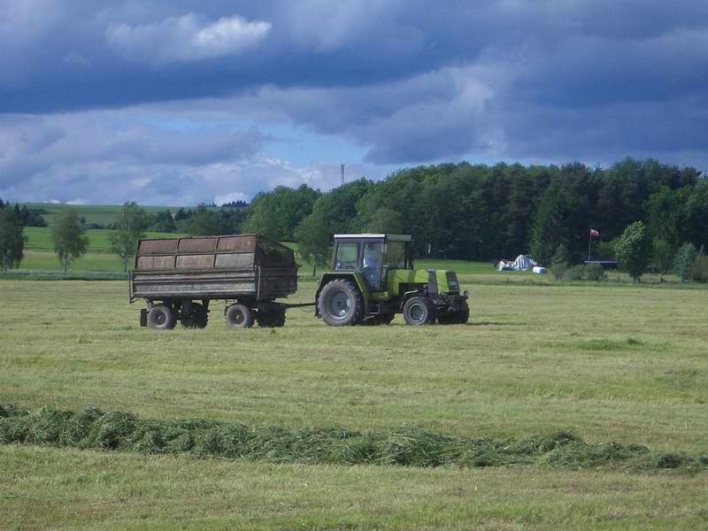 bilder/29_4_2004/terra_gator_3.jpg