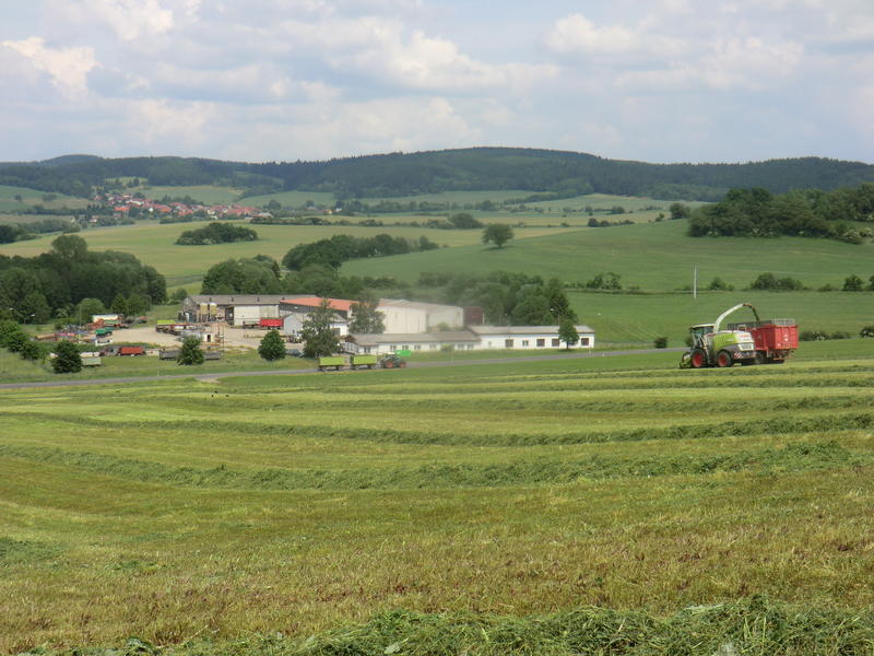 bilder/6_10_2012_2/CIMG1554.jpg