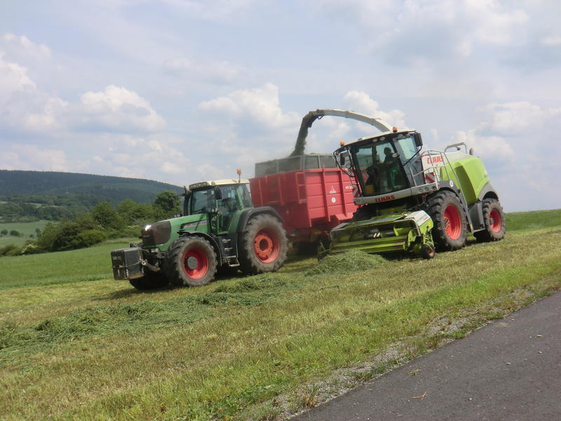 bilder/4_6_2014/CIMG3103.jpg