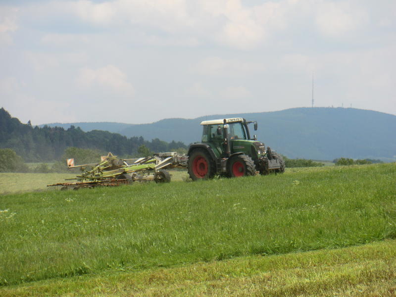 bilder/13_8_2019_2/DSC08199.jpg