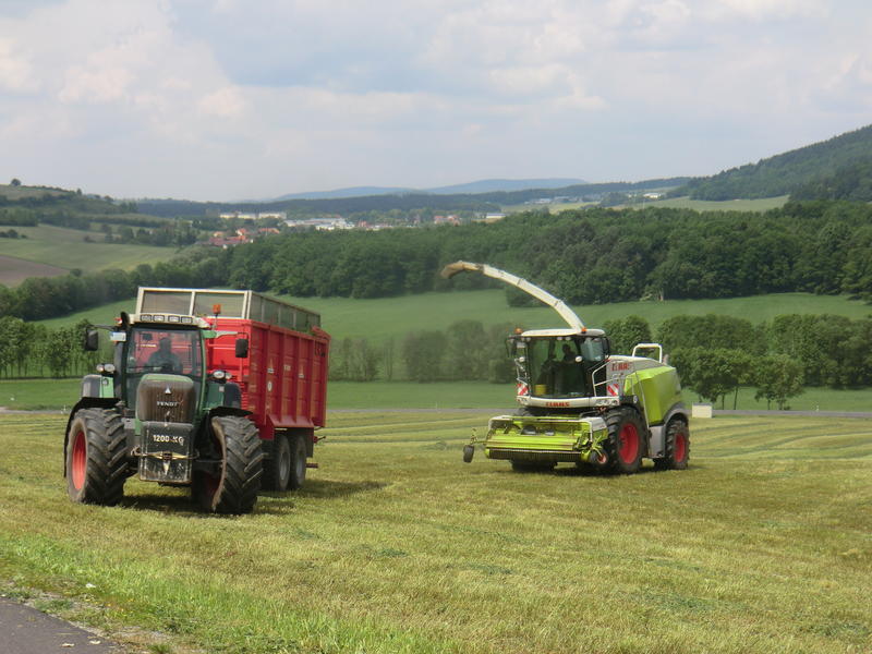 bilder/4_6_2014/CIMG3116.jpg