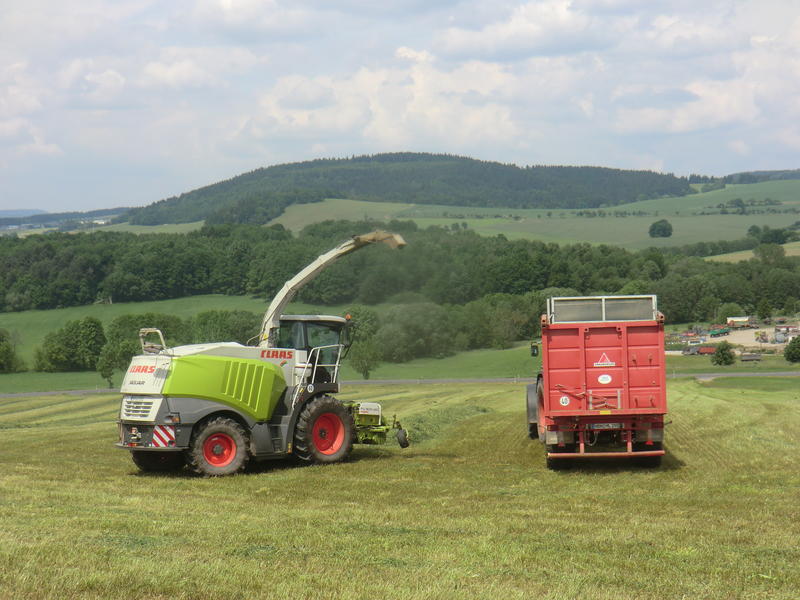 bilder/4_6_2014/CIMG3117.jpg