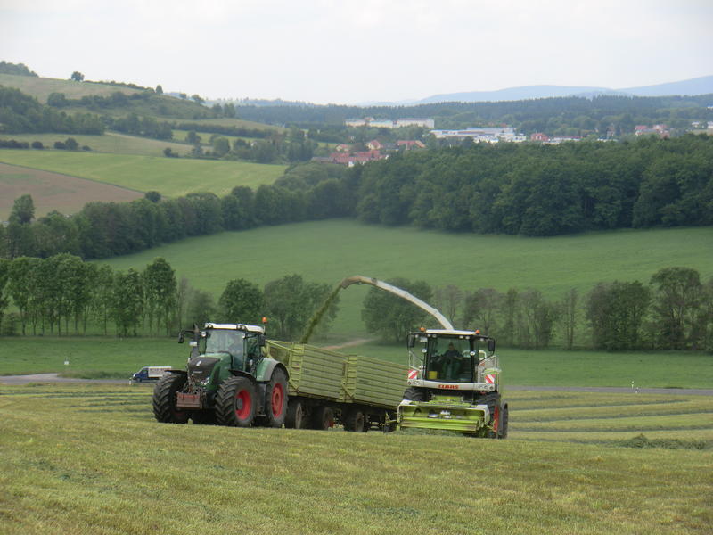 bilder/4_6_2014/CIMG3121.jpg