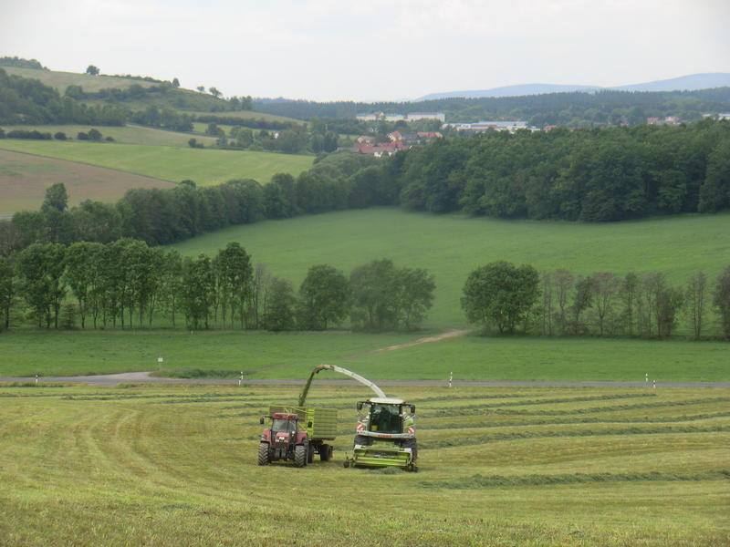 bilder/4_6_2014/CIMG3138.jpg