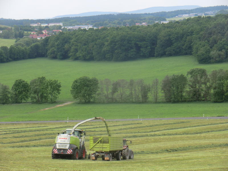 bilder/4_6_2014/CIMG3140.jpg
