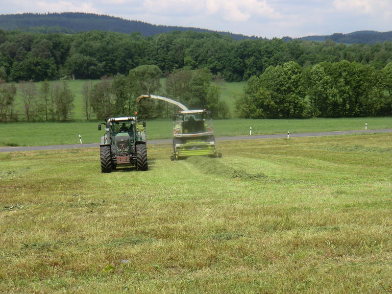 bilder/30_9_2011/CIMG5209.jpg