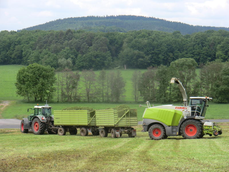 bilder/6_8_2017/DSC09582.jpg