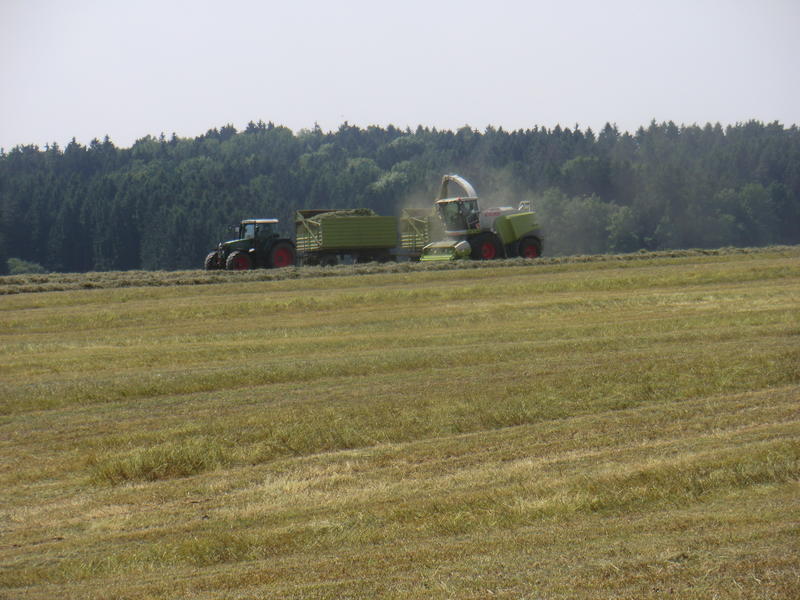 bilder/21_8_2010/IMGP2489.jpg