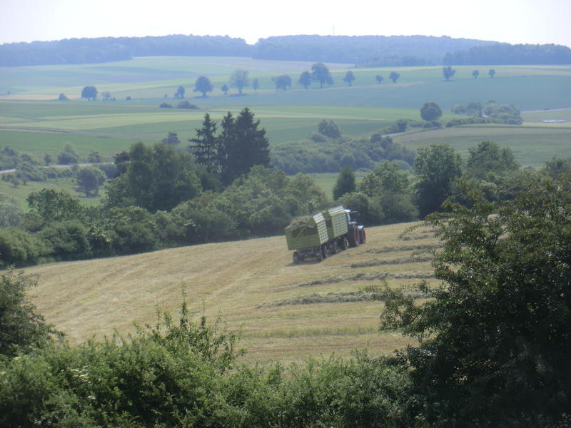 bilder/19_9_2005/fendt_5.jpg