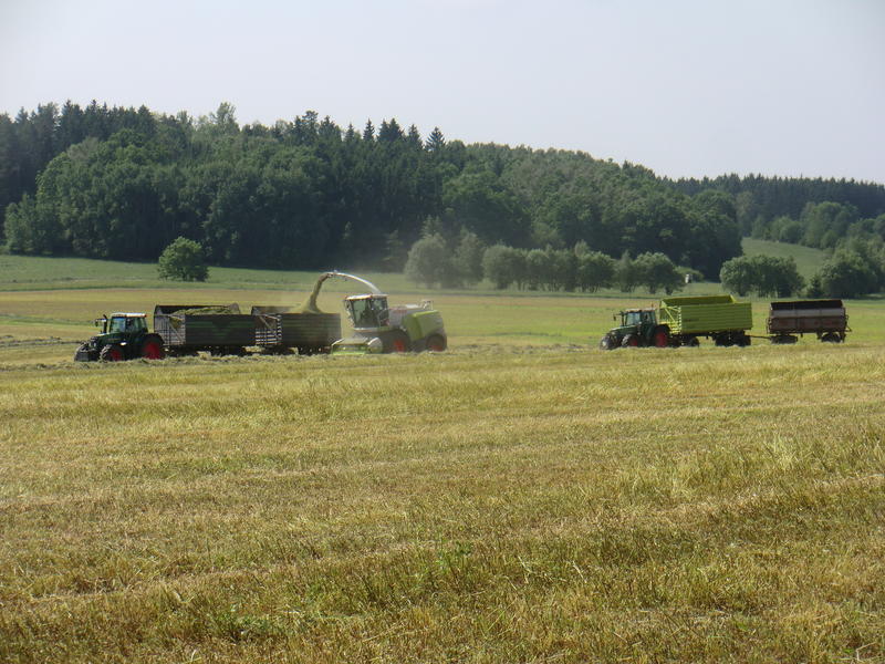 bilder/8_8_2020/DSC09829.jpg
