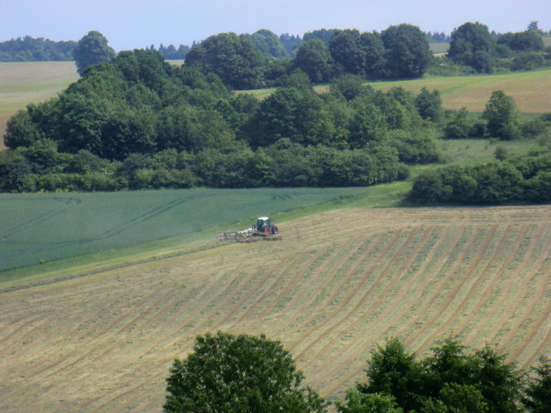 bilder/4_6_2014_2/CIMG3024.jpg
