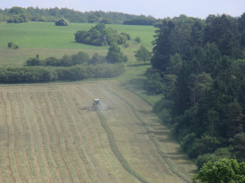 bilder/4_6_2014_2/CIMG3026.jpg