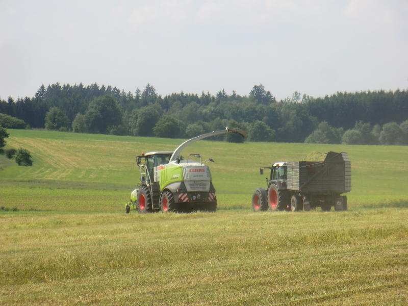 bilder/9_7_2018/DSC03787.jpg