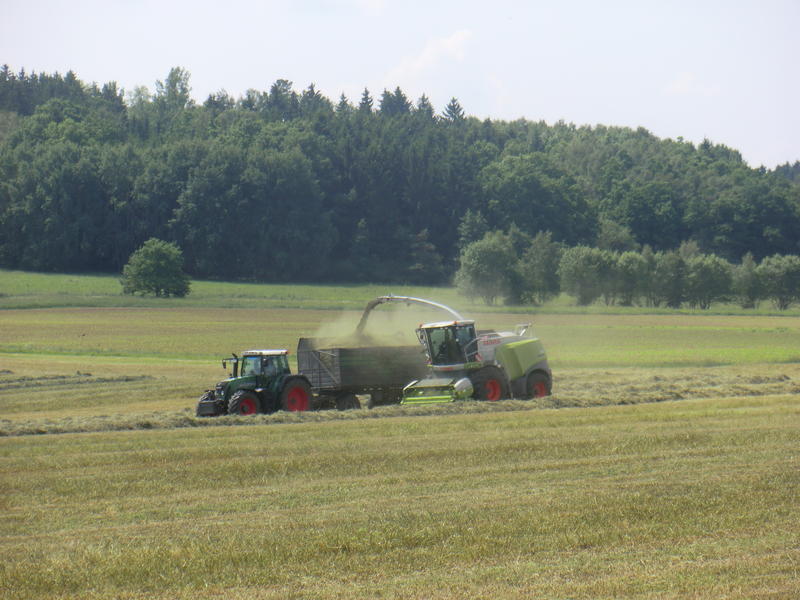 bilder/9_9_2021/DSC01625.jpg