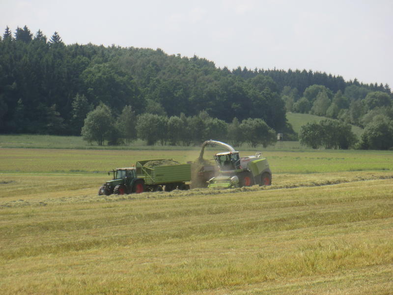 bilder/1_6_2007/P1010555.jpg