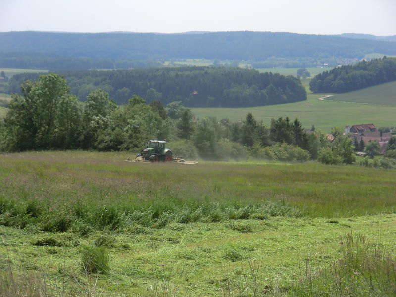 bilder/1_8_2017/DSC09422.jpg