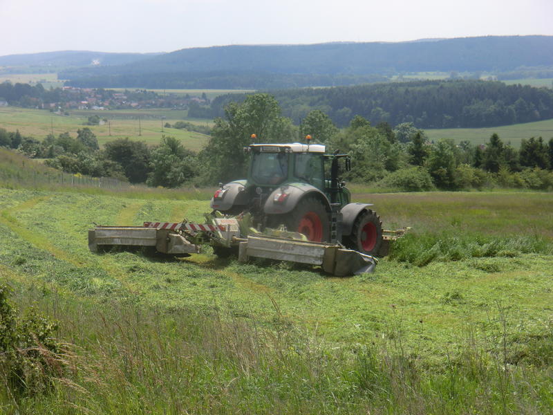 bilder/4_6_2014_3/CIMG3058.jpg