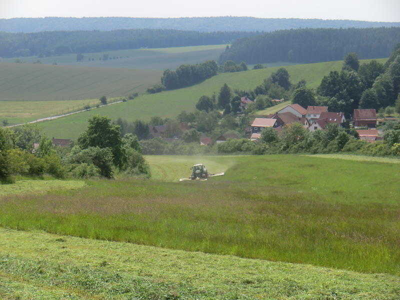 bilder/20_4_2013_2/CIMG7184.jpg