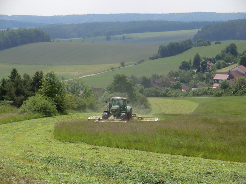 bilder/4_6_2014_3/CIMG3061.jpg