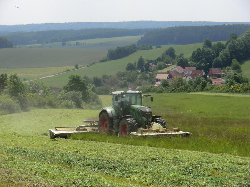 bilder/4_6_2014_3/CIMG3062.jpg