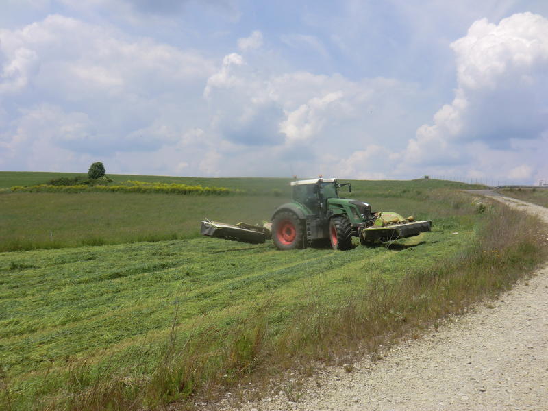 bilder/4_6_2014_3/CIMG3064.jpg