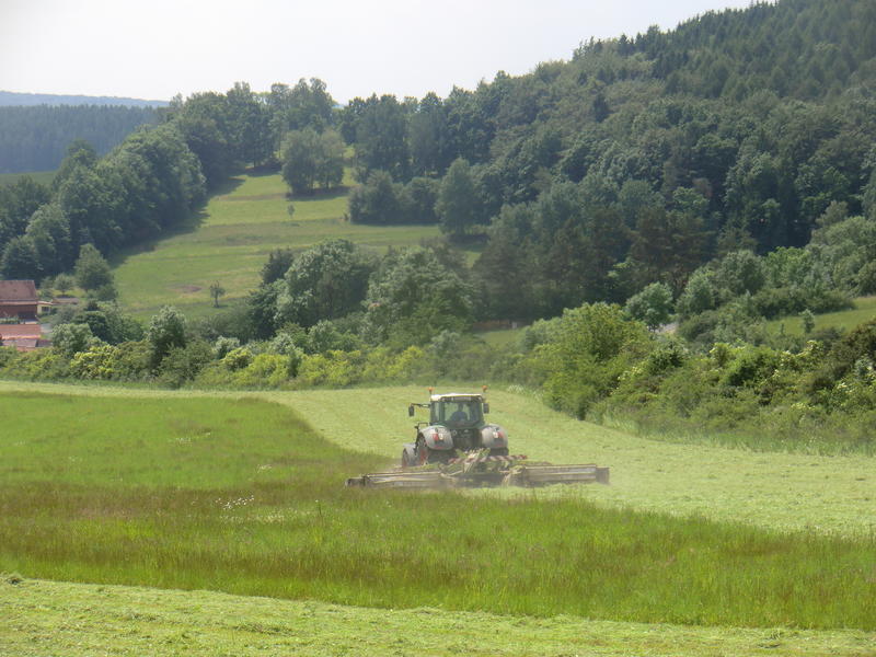 bilder/4_6_2014_3/CIMG3067.jpg