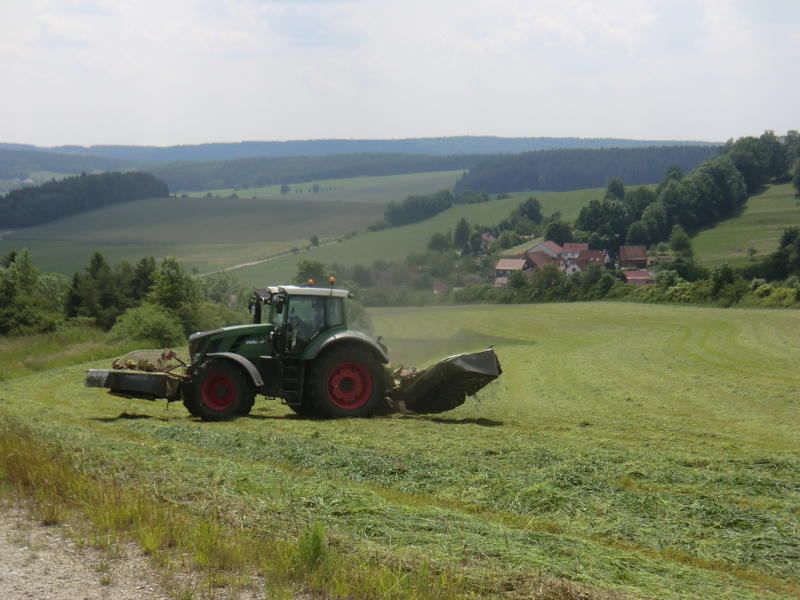 bilder/4_6_2014_3/CIMG3076.jpg