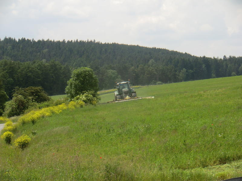 bilder/3_6_2007_2/P1010819.jpg