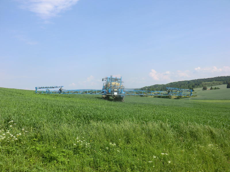 bilder/18_6_2002/2x_zt_300.jpg