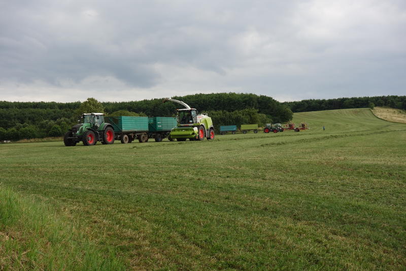 bilder/8_10_2013/CIMG0225.jpg