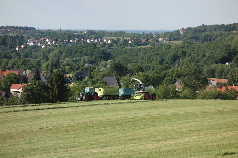 DSC08604.jpg