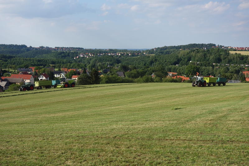 DSC08605.jpg