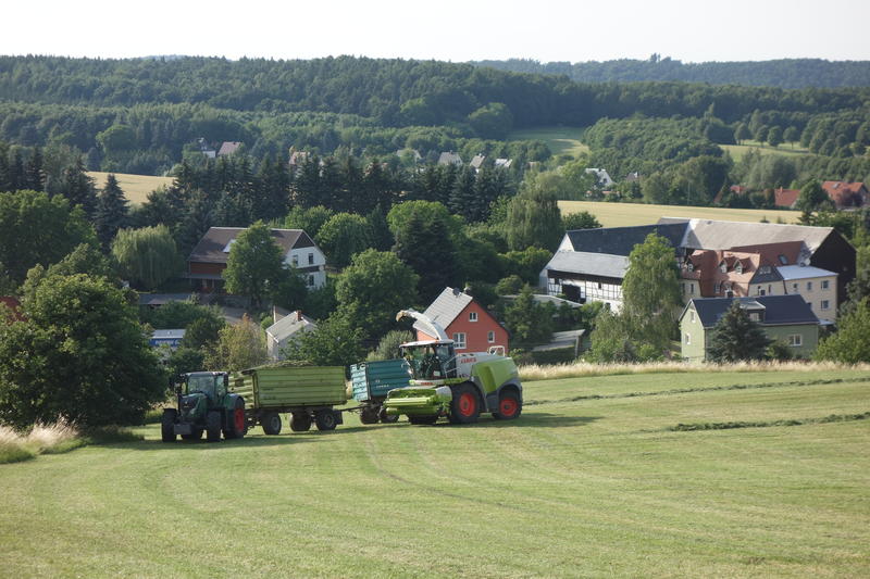 bilder/13_1_2014/CIMG0994.jpg