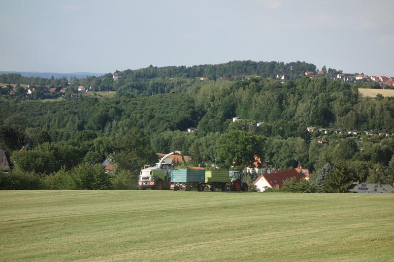 DSC08610.jpg