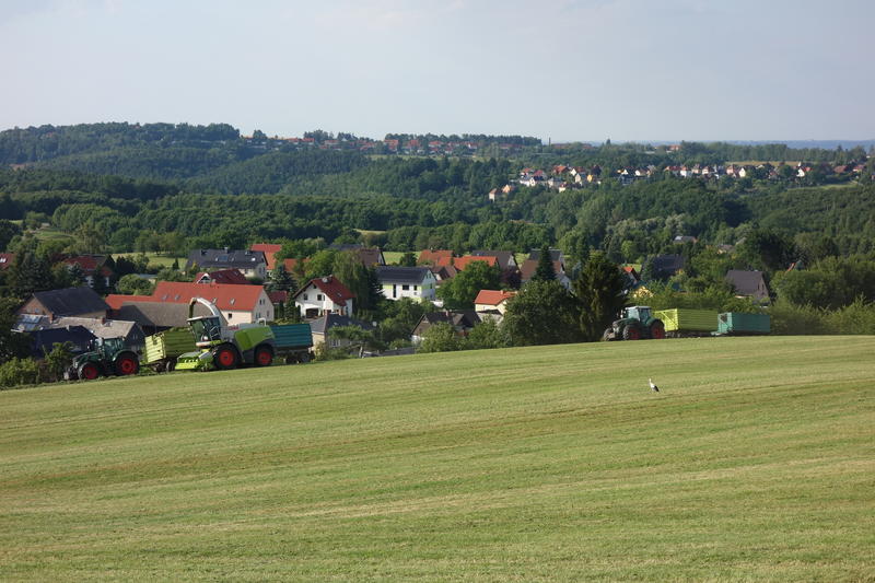 DSC08611.jpg