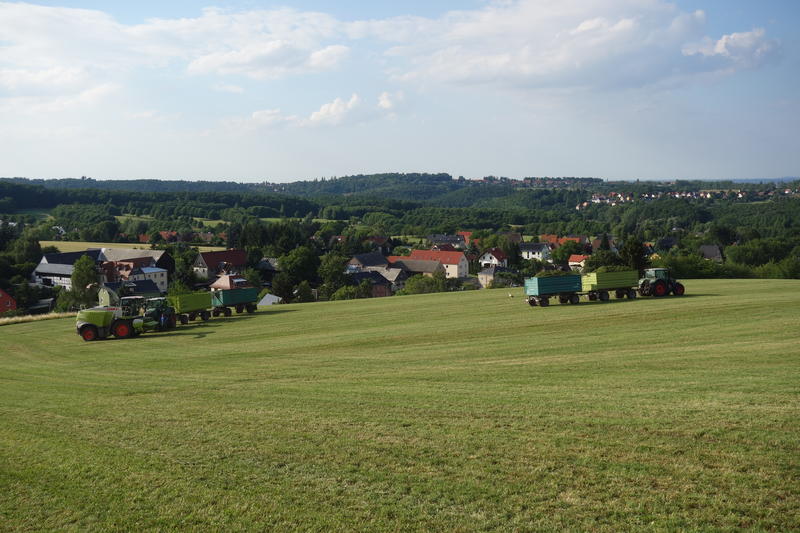 DSC08613.jpg
