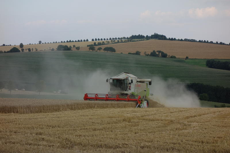 bilder/10_8_1996/2x_mega_+_2x_fendt_+_zt_303.jpg