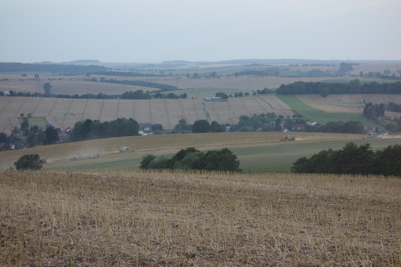 DSC02077.jpg