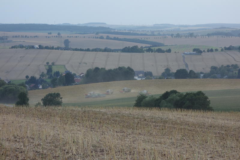 DSC02079.jpg
